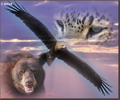 animaux totem
