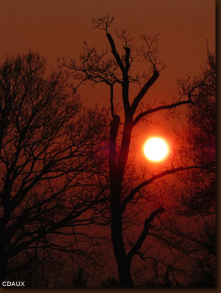 chamanisme réincarnation