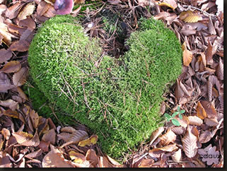 Christine Daux - Chamanisme - coeur