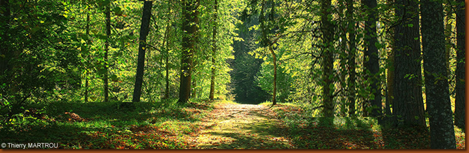 panorama sologne G